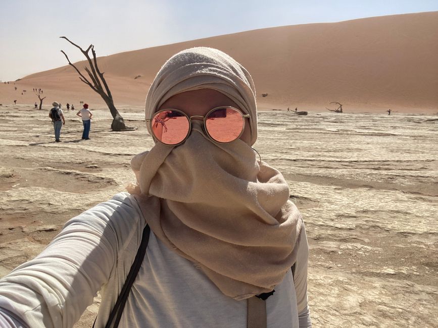 Namib Desert 🏜️