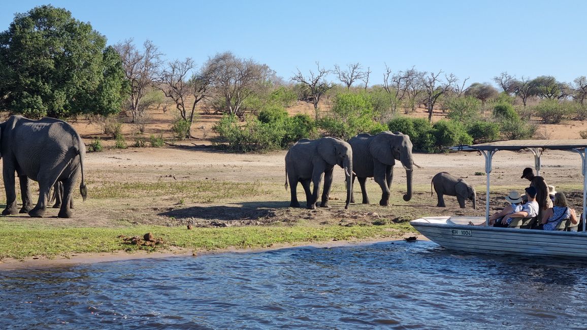 Simbabwe / Botswana 2024