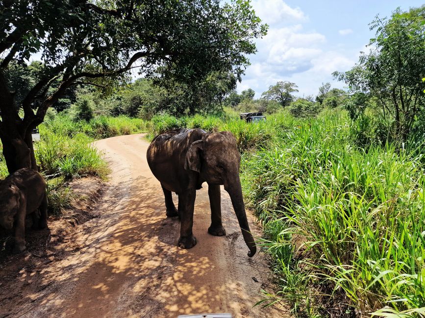 Hurulu Eco Park
