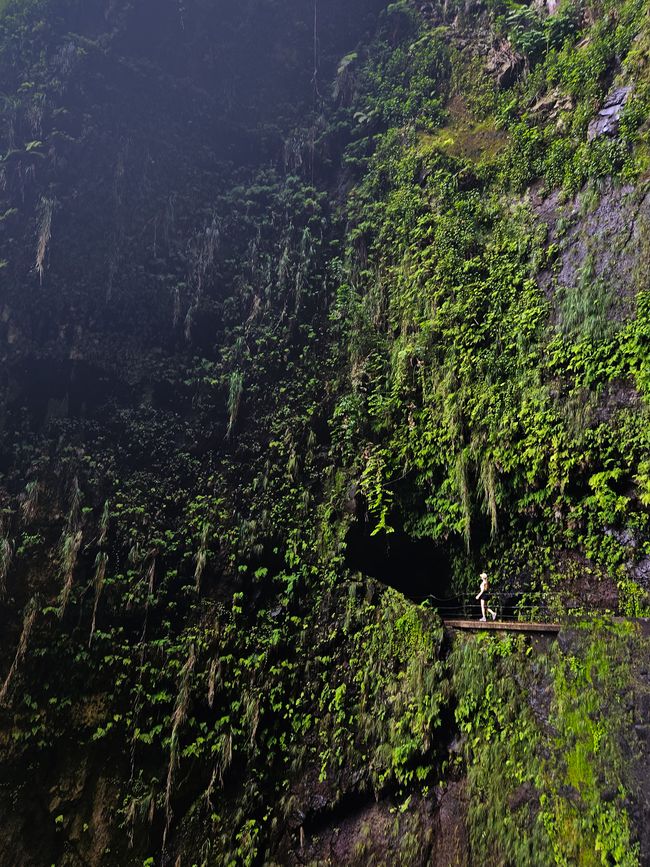 Tag 13: Levada da Ribeira da Janela & Nordwestküste