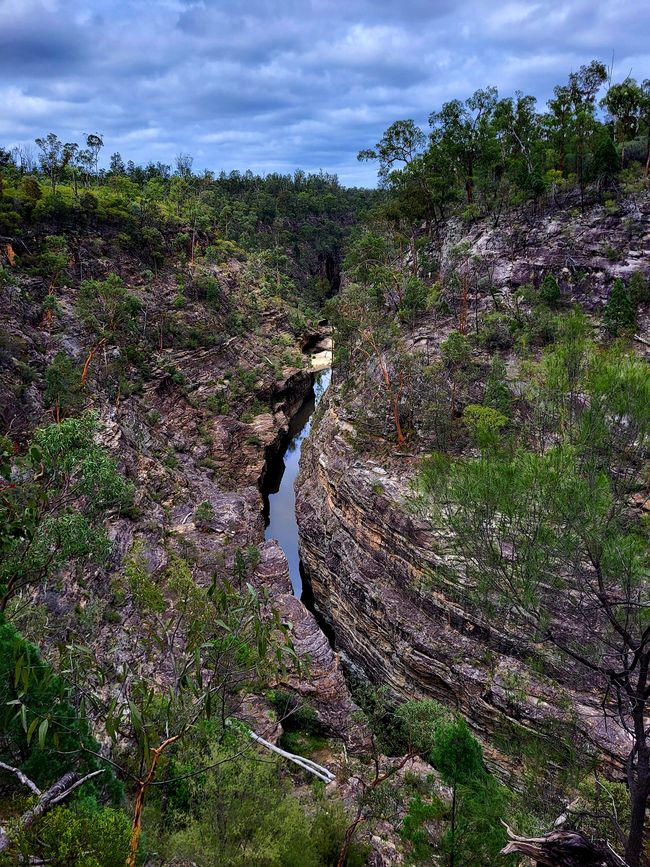 Expedition Nationalpark