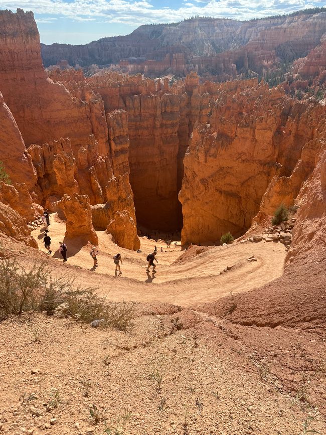 Tierra de Cañones: Zion y el Cañón de Bryce❤️