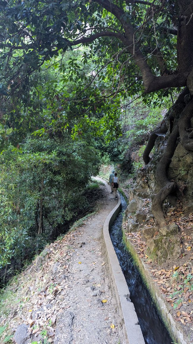 Tag 8: Wandern entlang der Levada do Moinho & Levada Nova