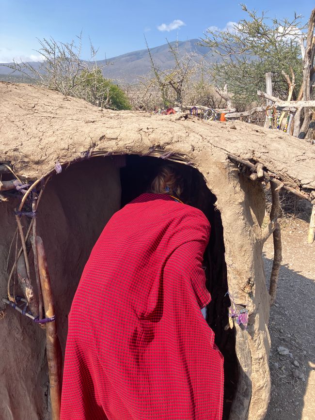 Il Cratere di Ngorongoro