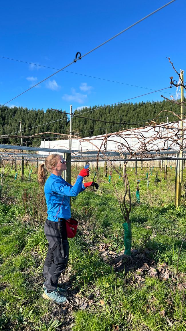 Was wir die nächsten Wochen jeden Tag machen
