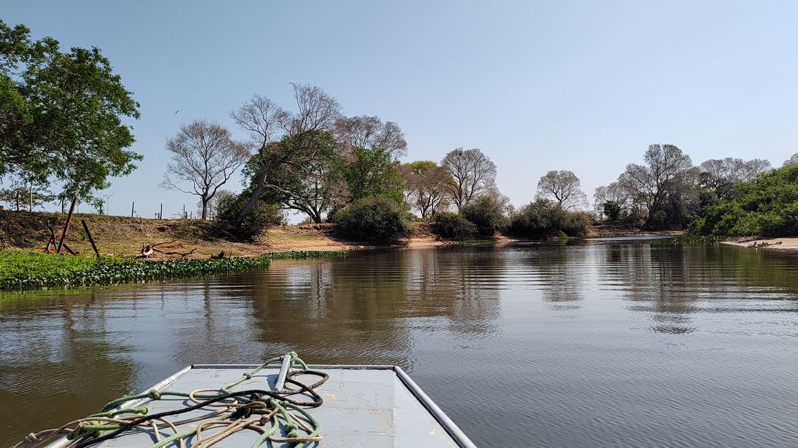 Brazil Pantanal River Cruise