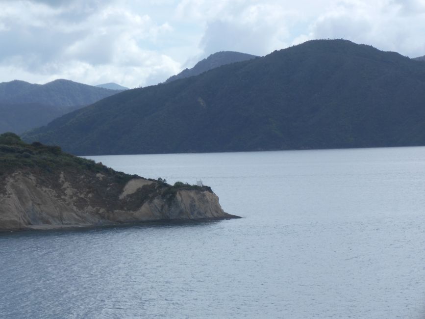 2025-03-25 NZ, l'Isola del Nord, Wellington