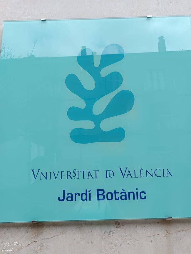 Botanischer Garten Valencia