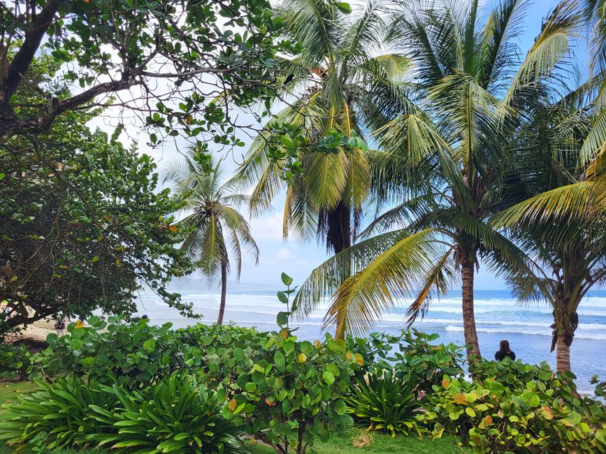 Ostküste von Barbados