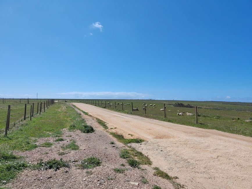 Sagres -> Vila do Bispo