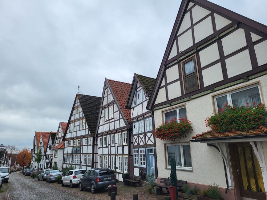 Blomberg