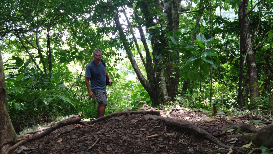 Rarotonga - Caminata cruzada por la isla
