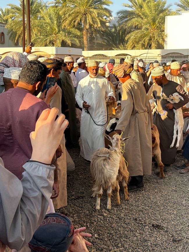 Nizwa
