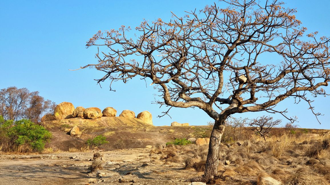 Simbabwe / Botswana 2024