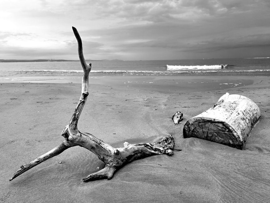 On the beach