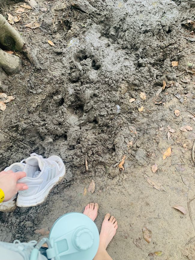 Tag 13: Parco Tayrona f7f9