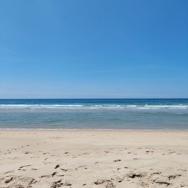 Espinho