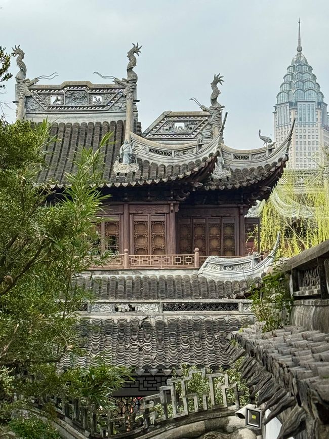 Part 5 SHANGHAI