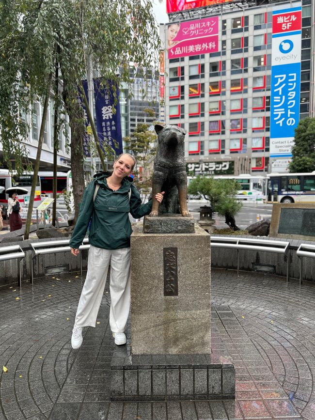 Regentag in Tokio
