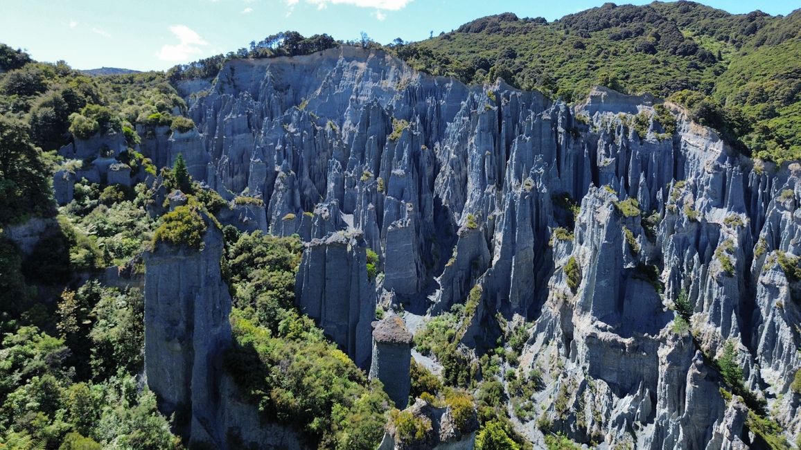 Putangirua Pinnacles 