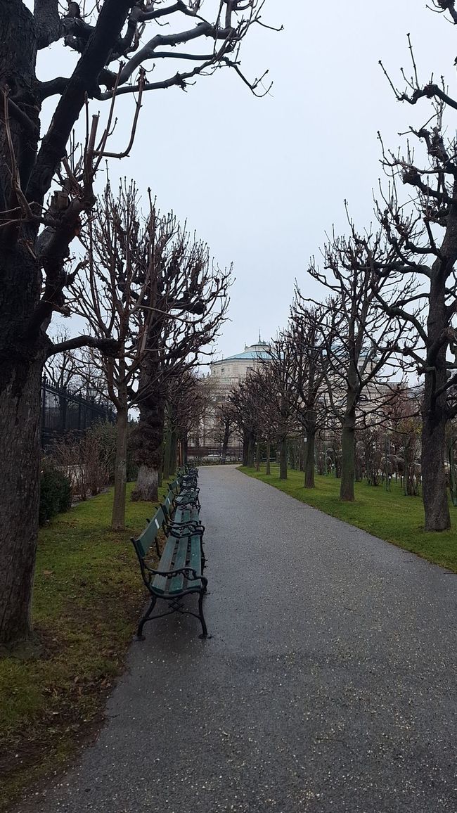 Vienna