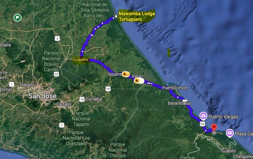 博客 6：施工中 从 Tortuguero 到 Talamanca