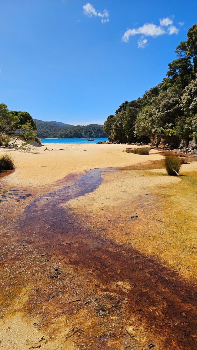 Abel Tasman Coastal Track