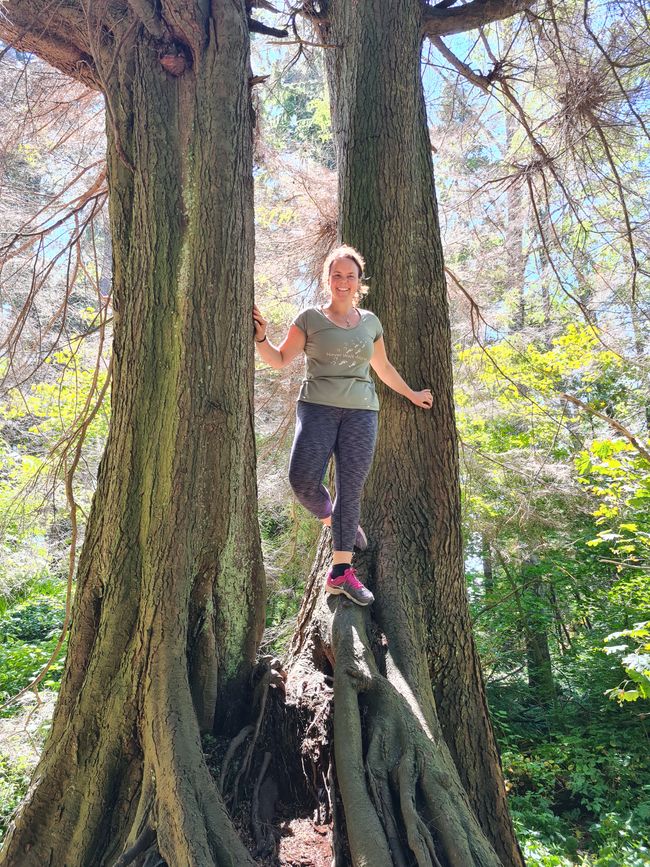 Cathedral Trail