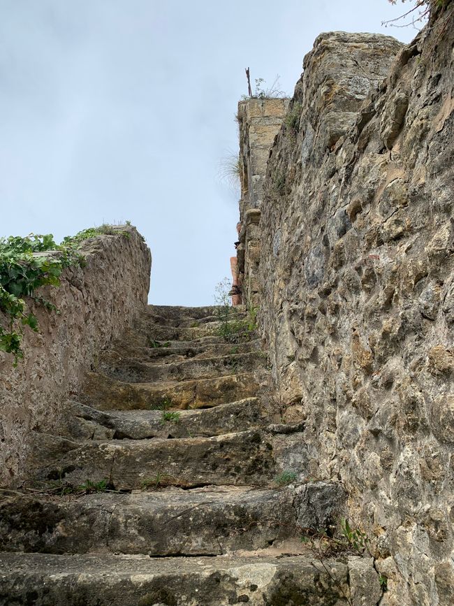 Bolao磨坊
