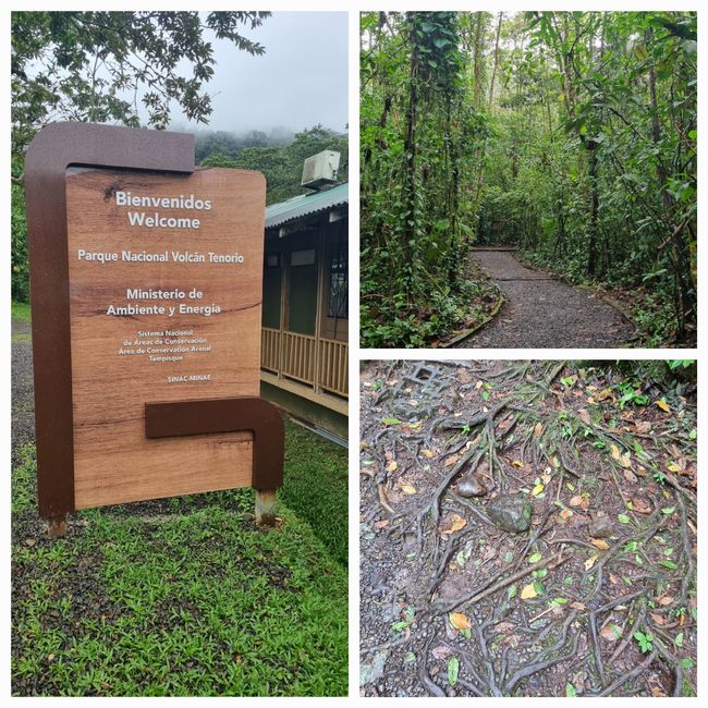 Parco Nazionale Vulkan Tenorio/ Rio Celeste