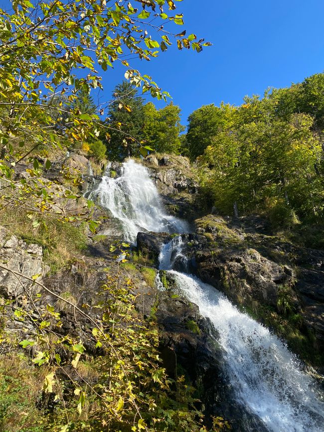 - noch höher hinaus