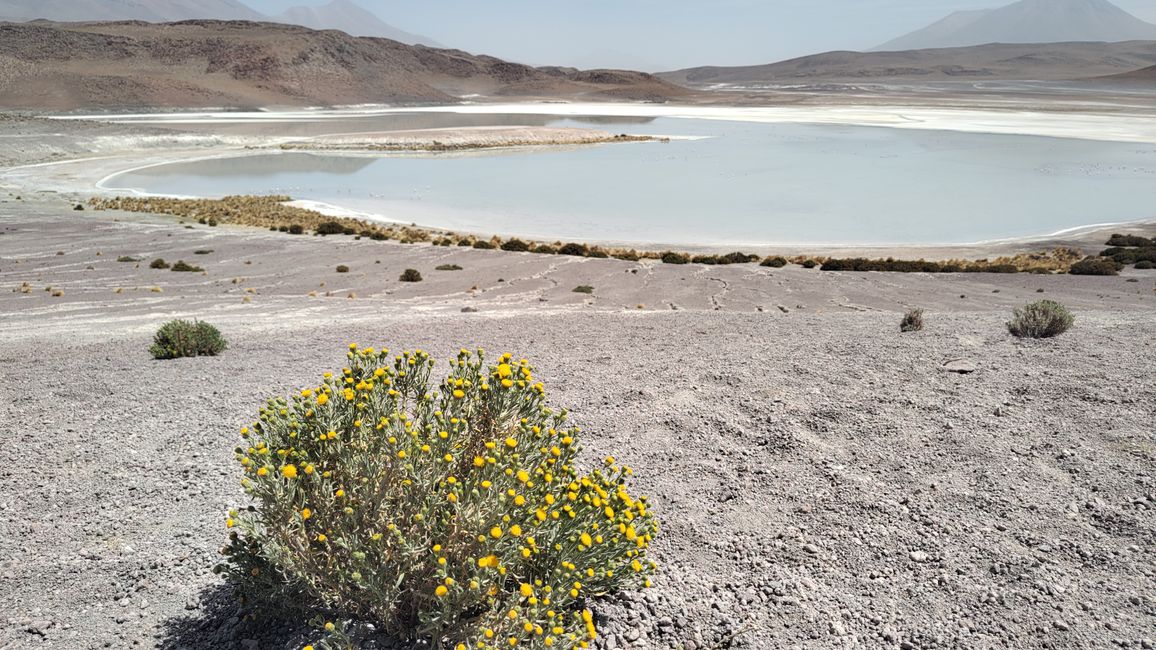 Bolivia, Tour de Lagunas