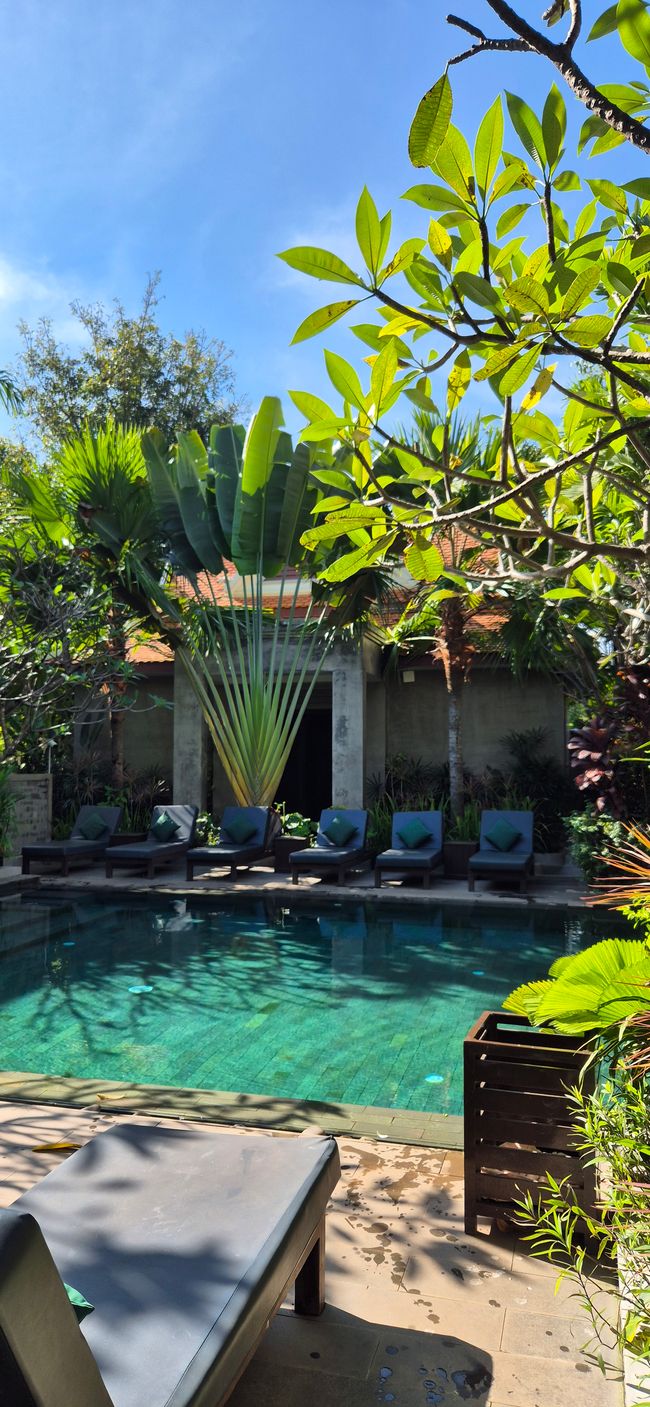 Der Frühe Vogel ist schnell müde