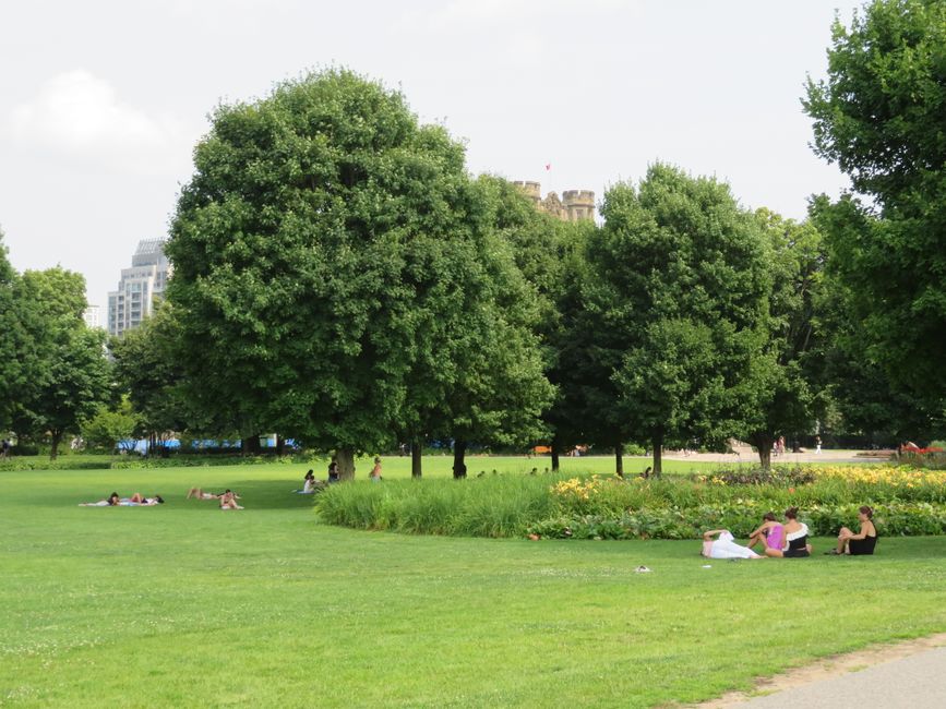 Park als Lebensraum beim Patrliament Hill