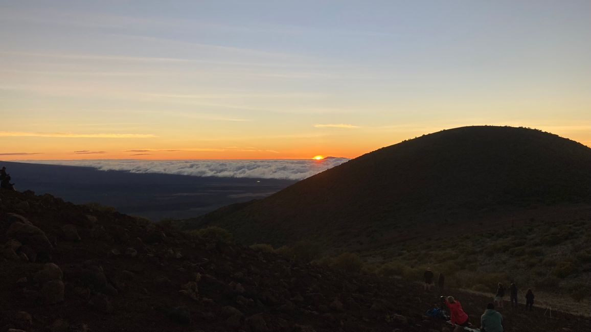 D4 - Helitour Blue Hawaiian helicopter 🚁 Hilo, Akaka waterfalls and Mauna Kea sunset