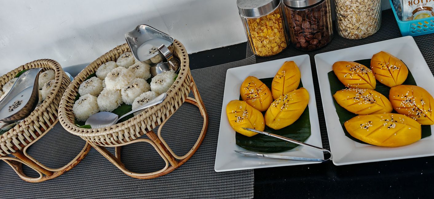 Eine Woche Tauchsafari mit der MV Bavaria 