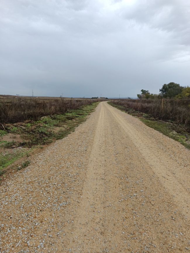 Fuera a la pista de grava 