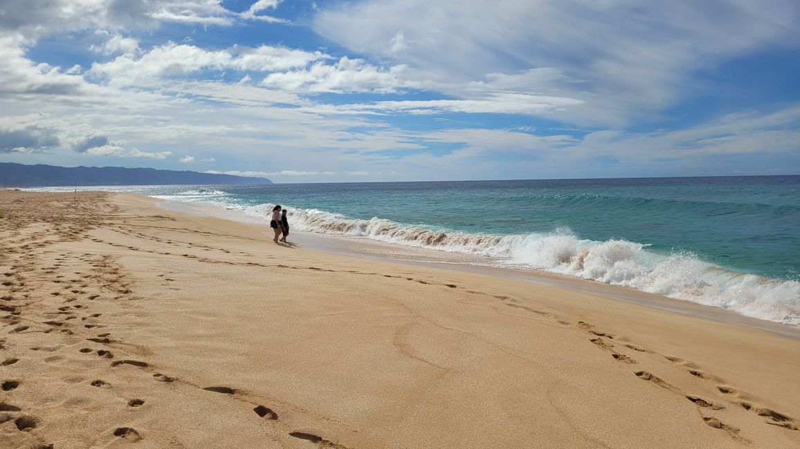 Snorkeling at Sharks Bay and more ...