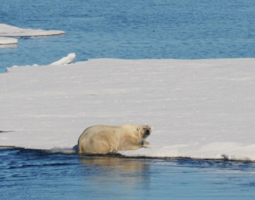 Spitzbergen, Das Archipel im hohen Norden