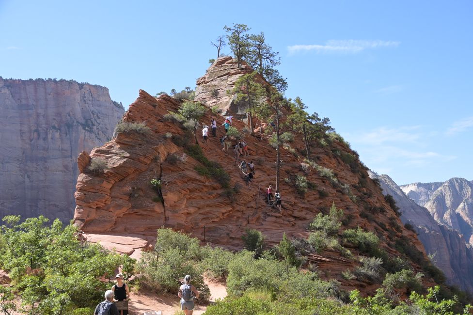 Auf der letzten halben Meile zu Angels Landing