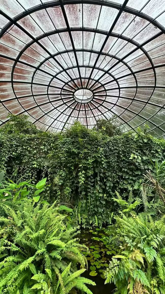Giardini botanici reali di Peradeniya