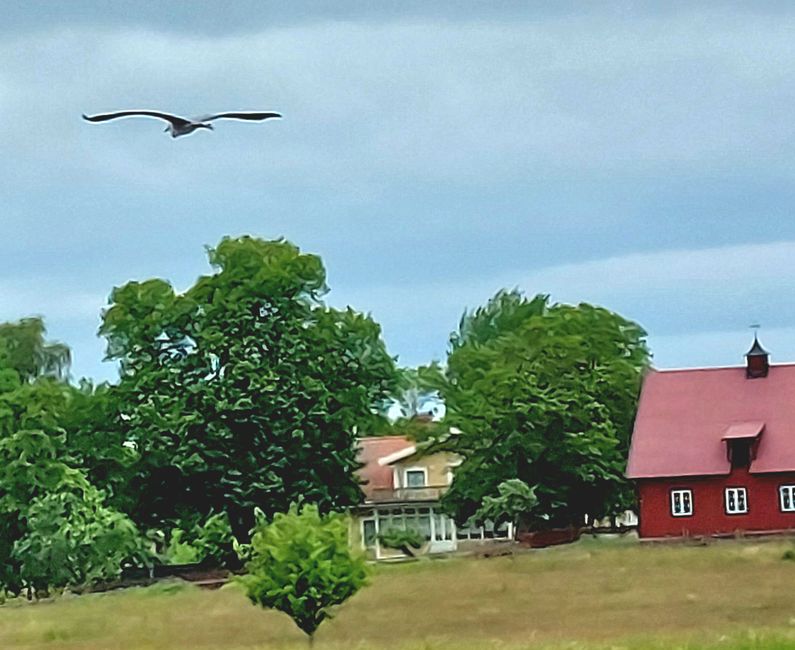 Southern Sweden Tour - Day 6