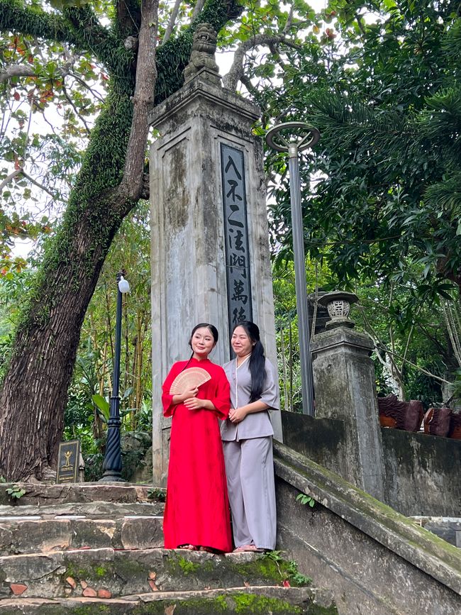 Tag 5 - Hoi An: Ein Tag mit Affen, Einhörnern und vielen Überraschungen