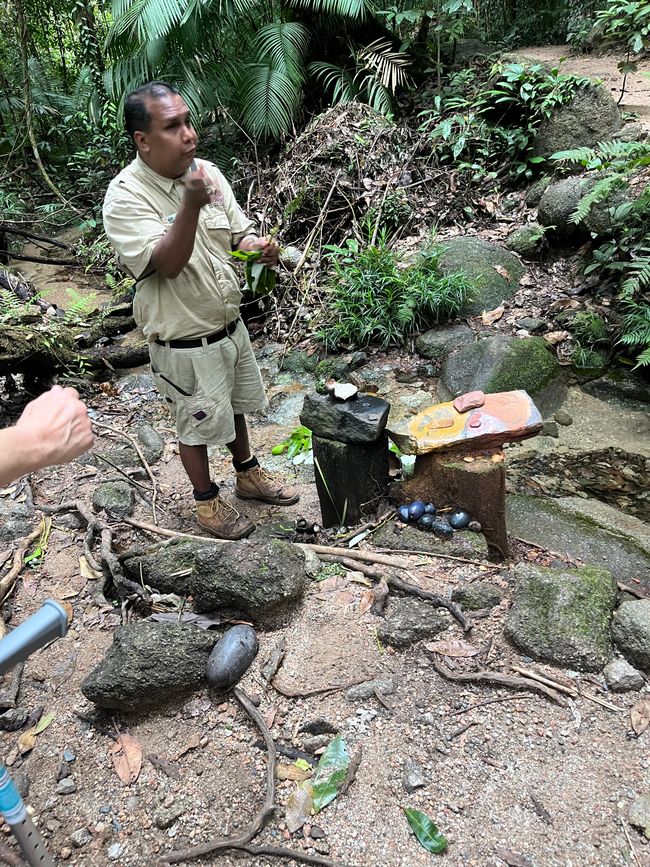 Gola di Mossman: area del patrimonio mondiale delle foreste pluviali umide
