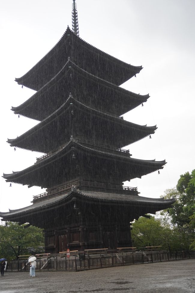 Gartenbesichtigung im regnerischen Kyoto