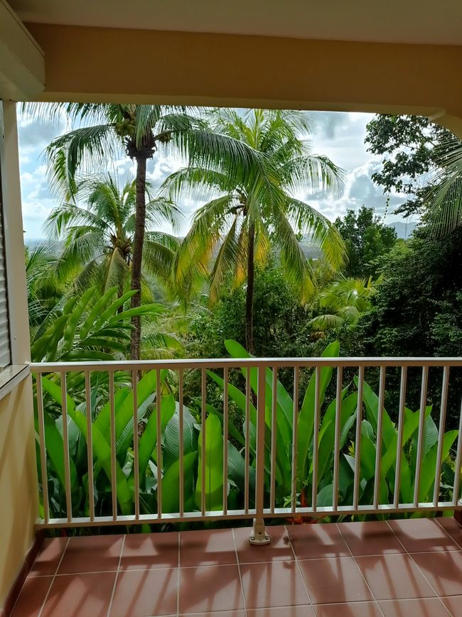Mit der Fähre nach Martinique, unser Häuschen im Dschungel