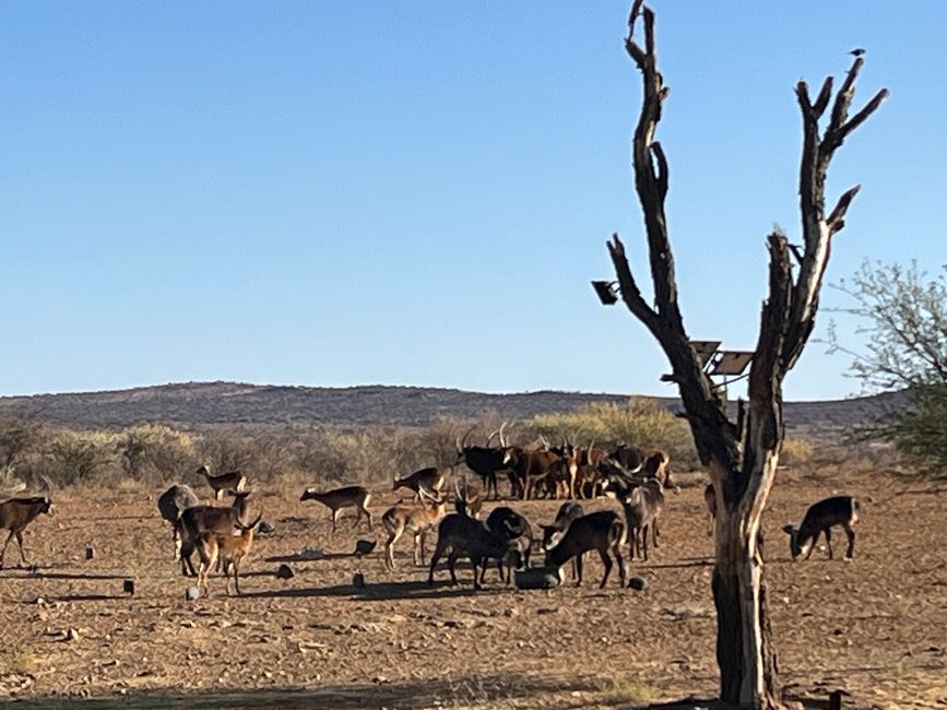 Richtung Windhoek