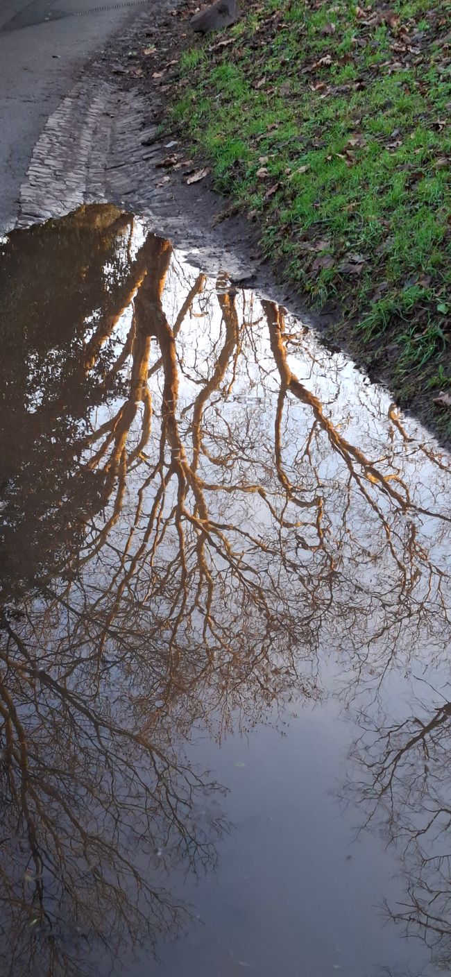Quelques jours à Bristol