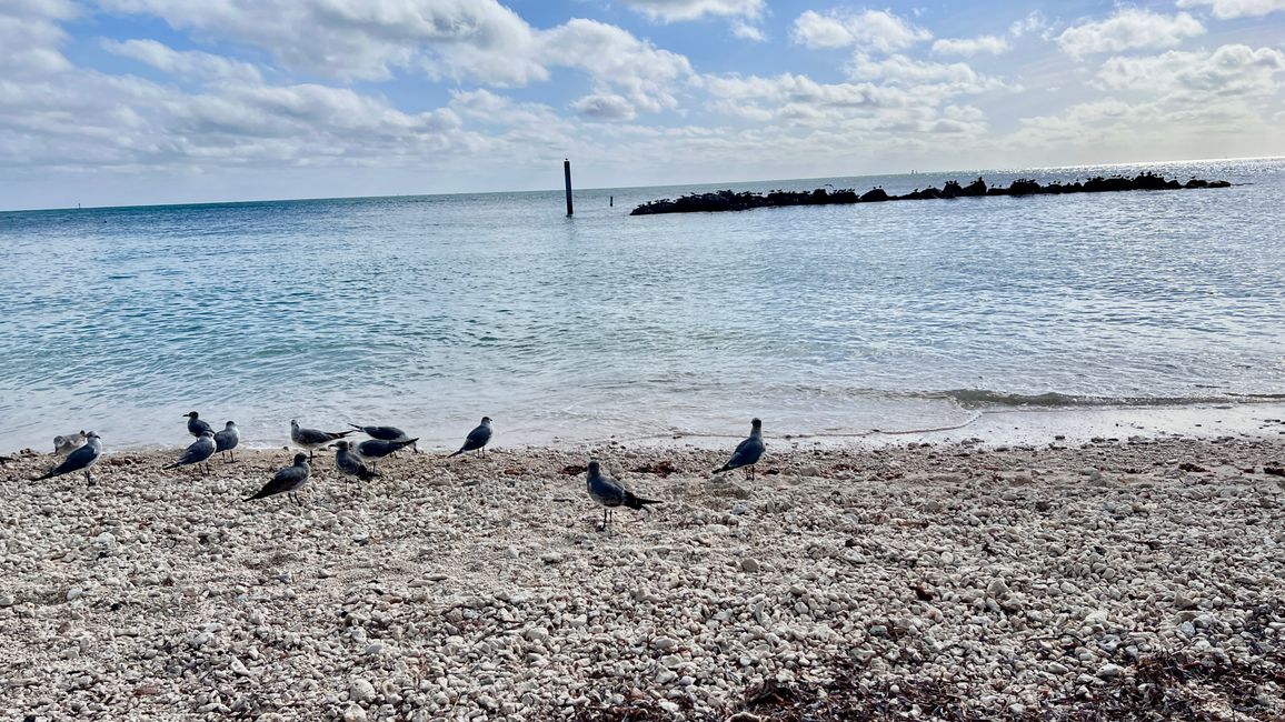Tag 396 - Southernmost point & Duval Street by Golf Cart