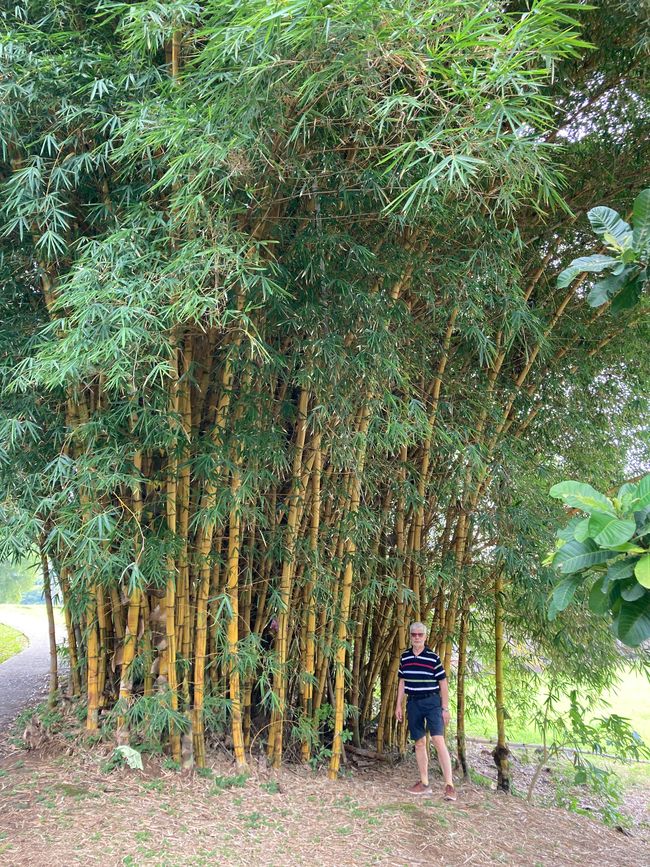 Nach einem Durchhänger geht es wieder aufwärts